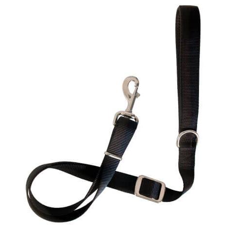 Dog Collars & Leashes - Leashes